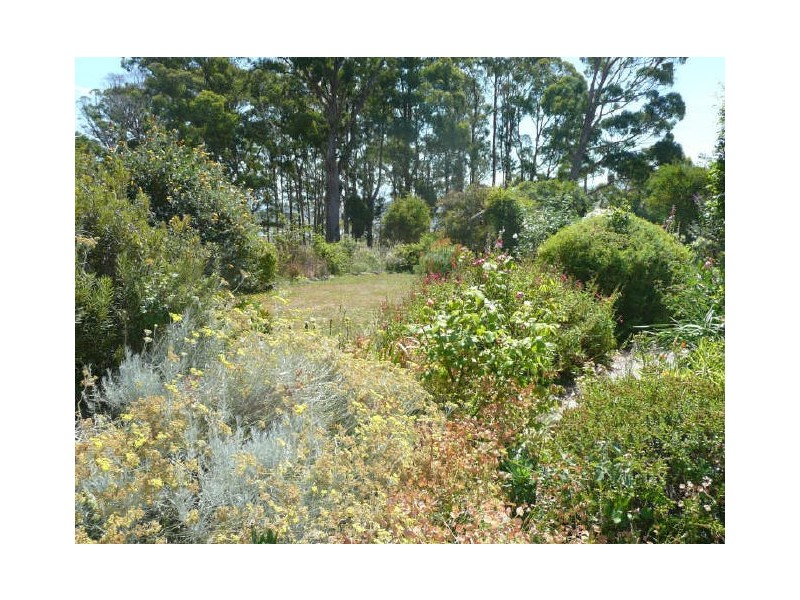 171 Jones street, Chudleigh TAS 7304