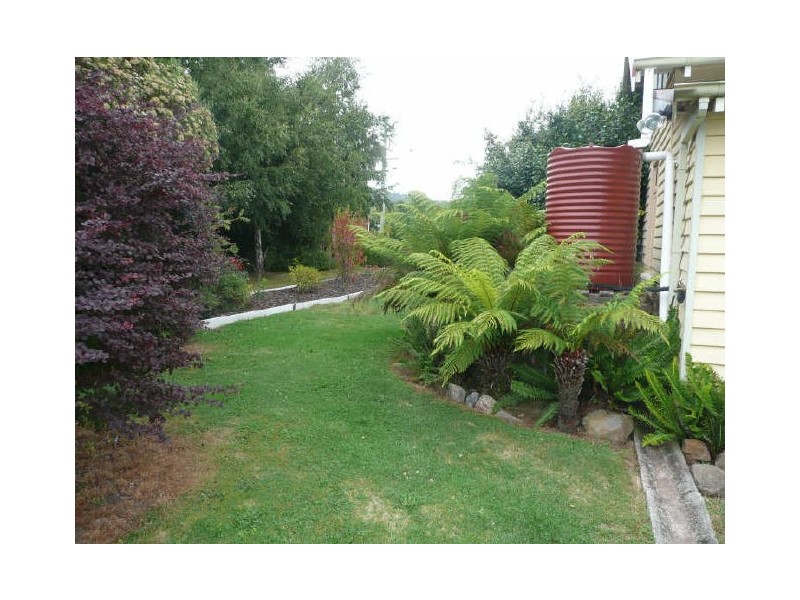 54 Pioneer Drive, Mole Creek TAS 7304