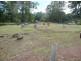 97 Samuel Street, Elizabeth Town TAS 7304