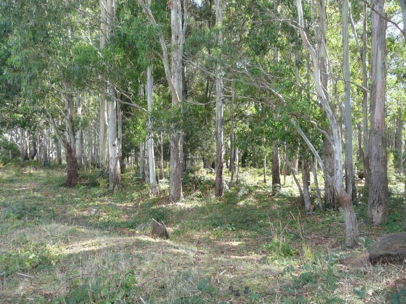 97 Samuel Street, Elizabeth Town TAS 7304