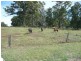 97 Samuel Street, Elizabeth Town TAS 7304