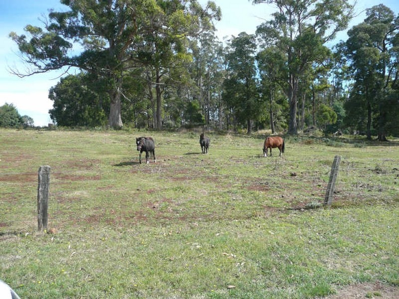 97 Samuel Street, Elizabeth Town TAS 7304