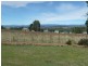 97 Samuel Street, Elizabeth Town TAS 7304