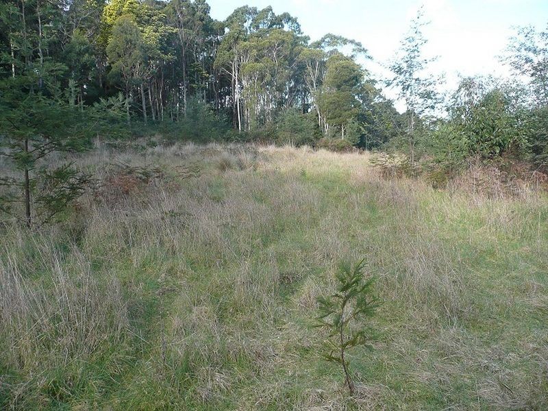 5612 Bass Hwy, Elizabeth Town TAS 7304