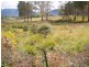 Union Bridge Road, Mole Creek TAS 7304