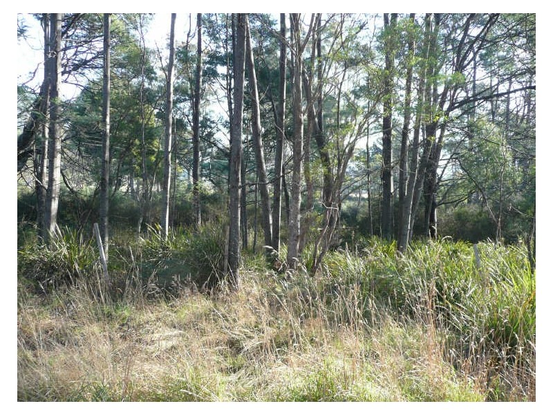 Union Bridge Road, Mole Creek TAS 7304