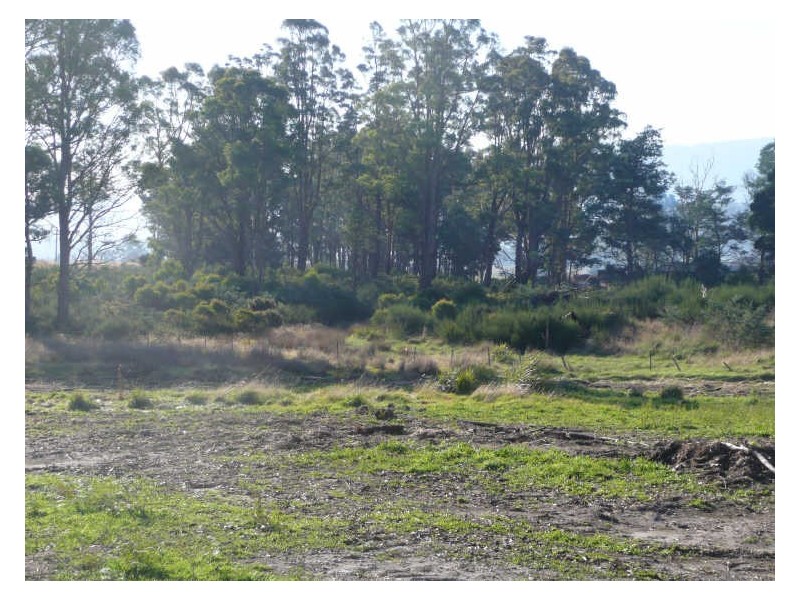 Union Bridge Road, Mole Creek TAS 7304