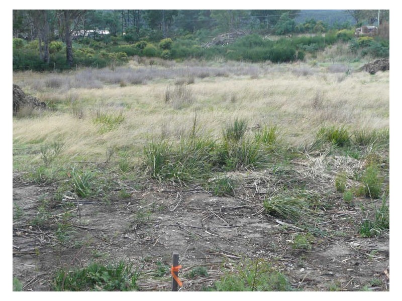 Union Bridge Road, Mole Creek TAS 7304