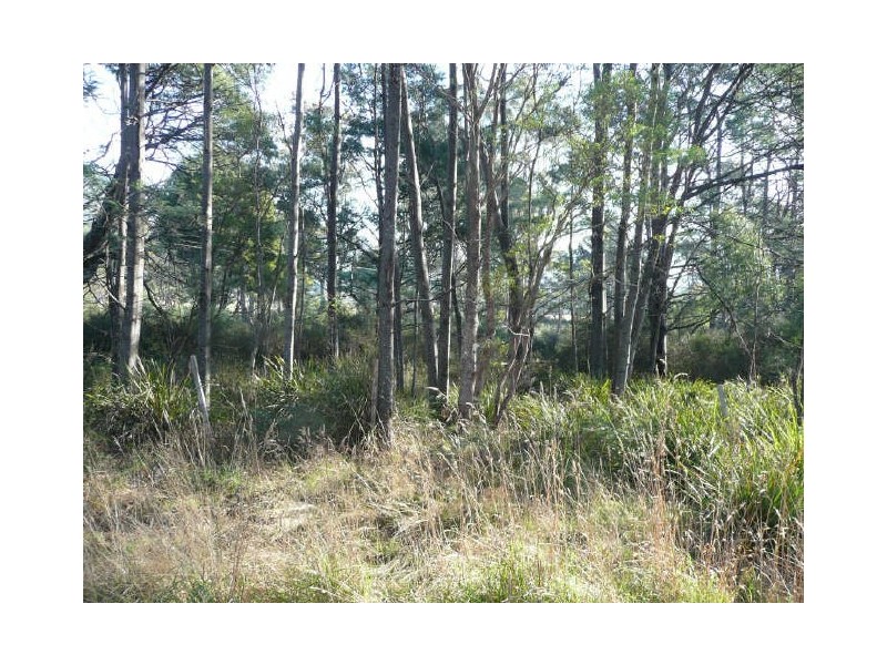 Union Bridge Road, Mole Creek TAS 7304