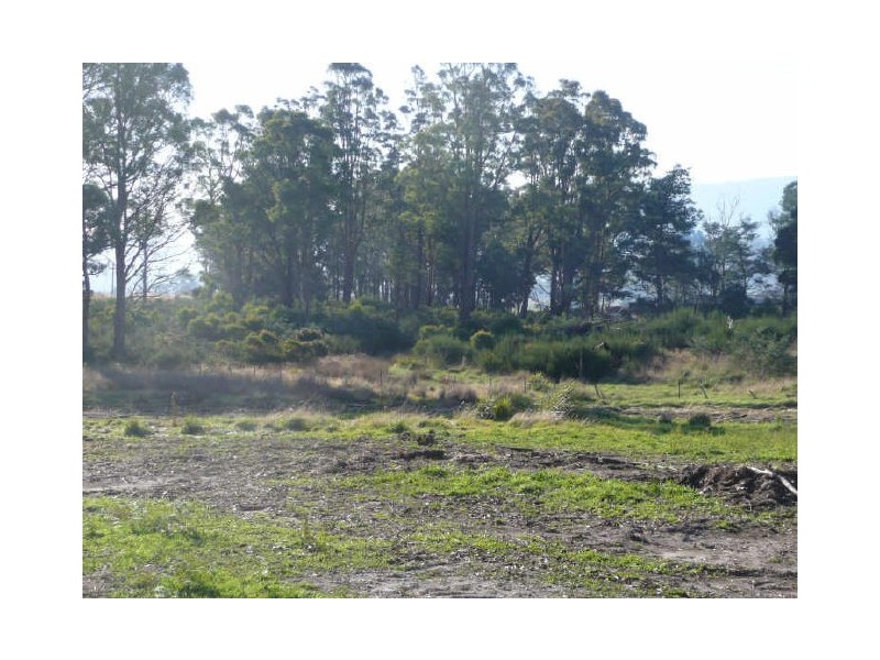 Union Bridge Road, Mole Creek TAS 7304
