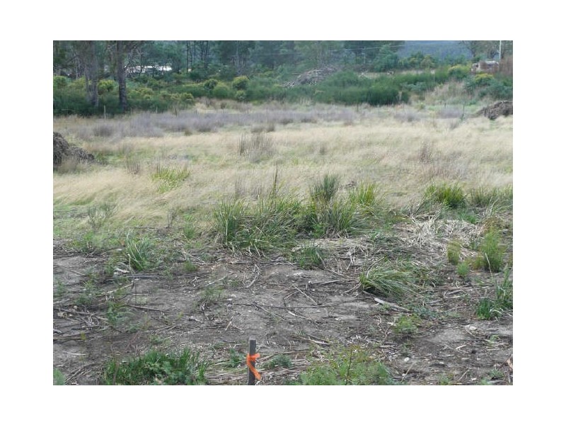 Union Bridge Road, Mole Creek TAS 7304