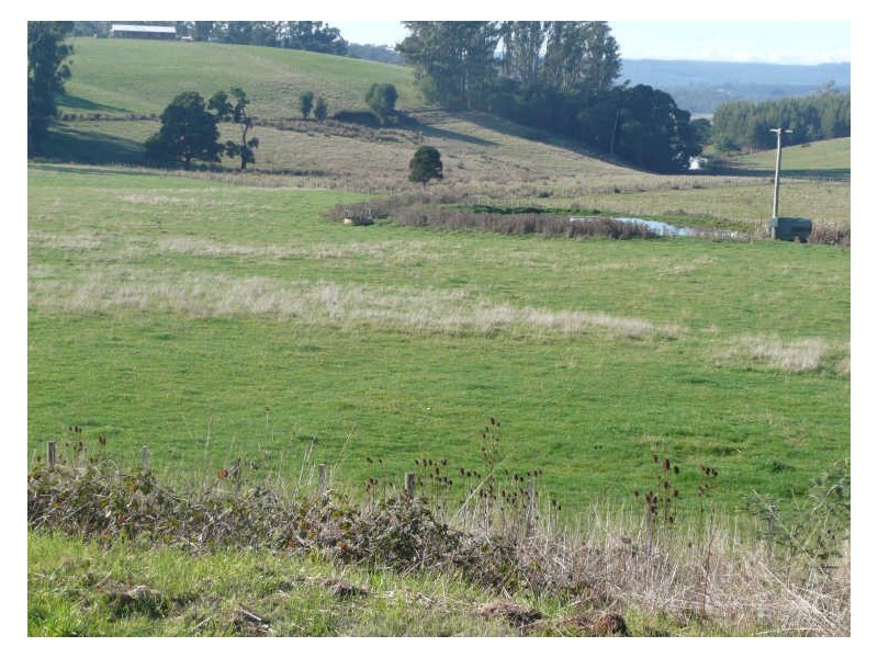 35 Avenue Road, Elizabeth Town TAS 7304