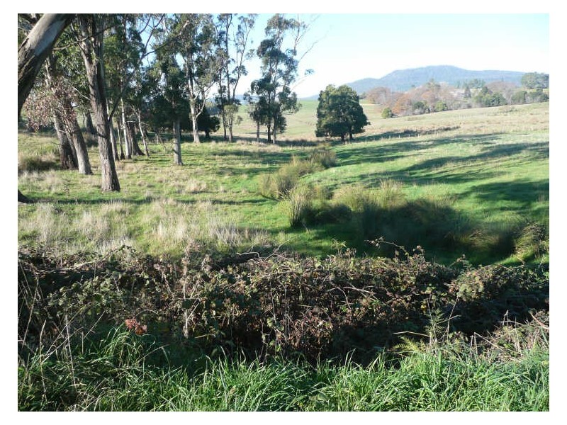 35 Avenue Road, Elizabeth Town TAS 7304