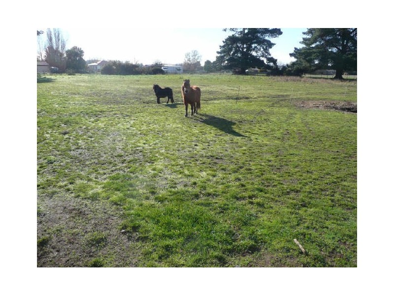 42 Meander Valley Road, Hagley TAS 7292