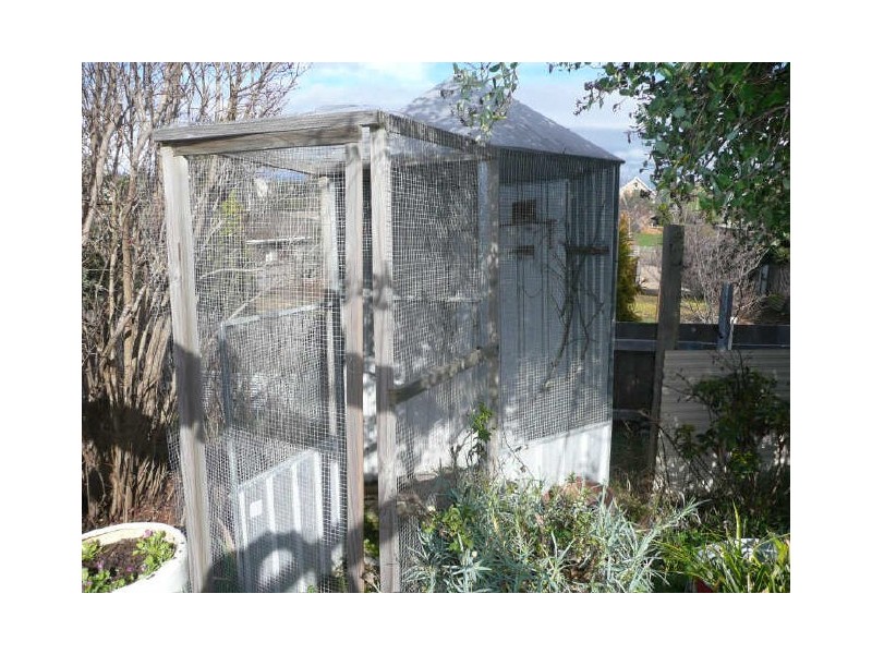 12 Beefeater Street, Deloraine TAS 7304