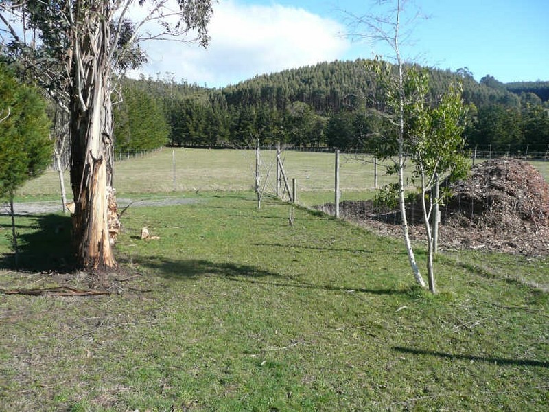 521 Quamby Brook Road, Deloraine TAS 7304