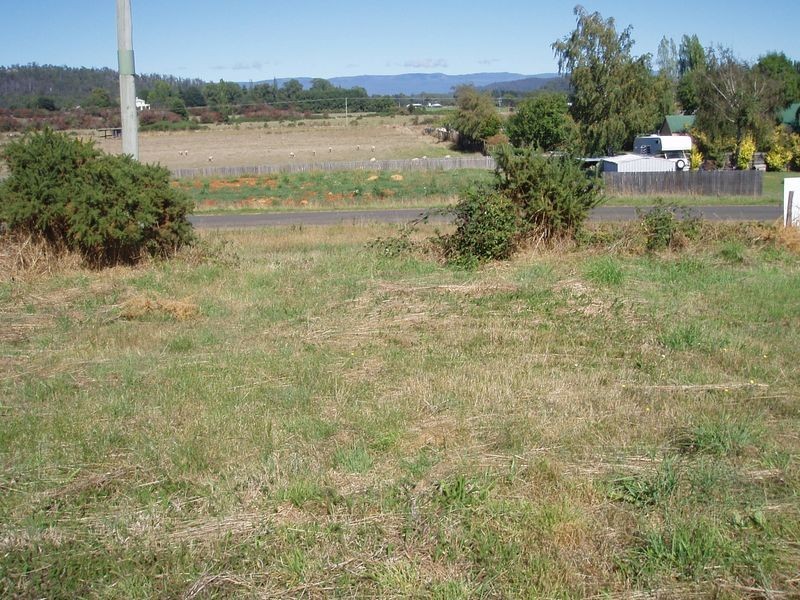 7/ East Goderich Street, Deloraine TAS 7304