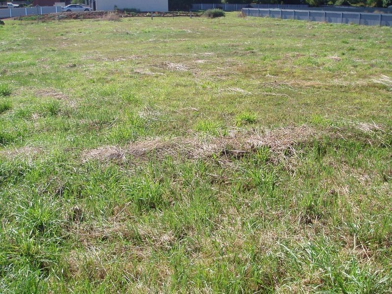 7/ East Goderich Street, Deloraine TAS 7304