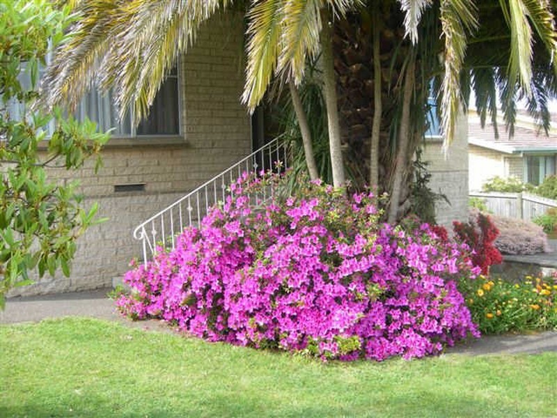 10 Winter Street, Deloraine TAS 7304