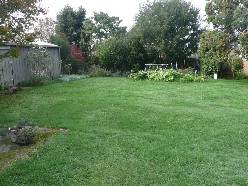 8 Winter Street, Deloraine TAS 7304