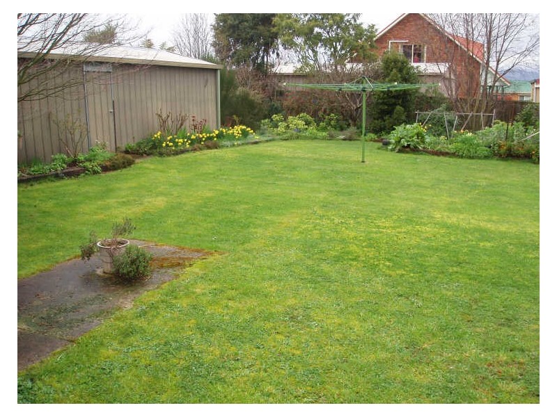 8 Winter Street, Deloraine TAS 7304