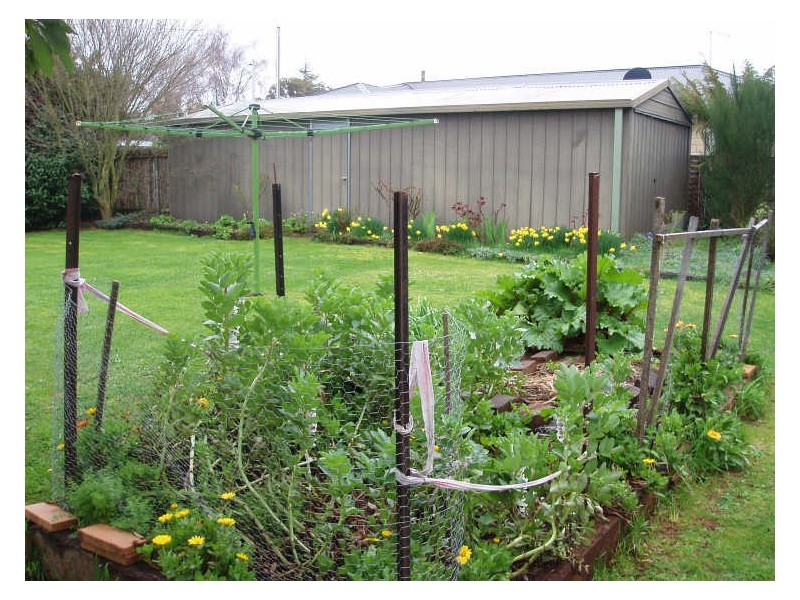 8 Winter Street, Deloraine TAS 7304