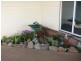 42 Pioneer Drive, Mole Creek TAS 7304