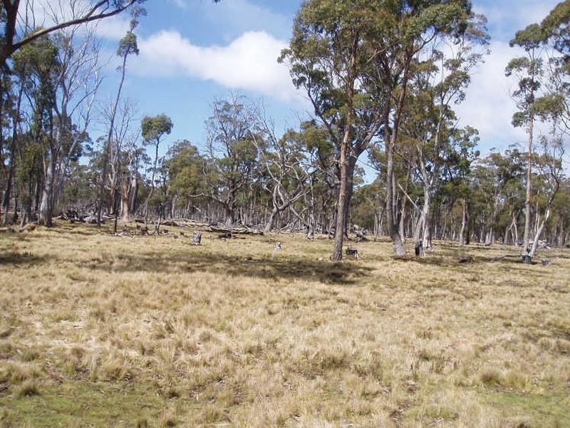 1/ Black Snake Road, Bothwell TAS 7030