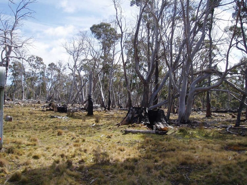 1/ Black Snake Road, Bothwell TAS 7030