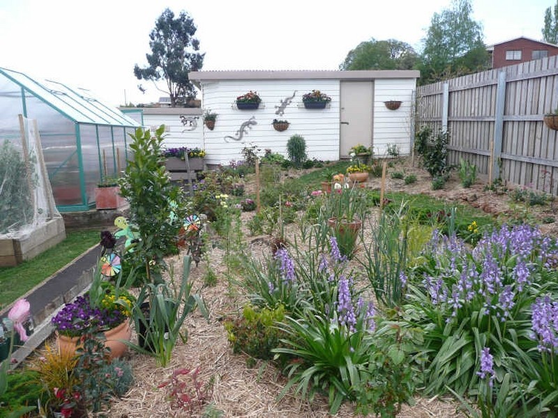 41 Tower Hill Street, Deloraine TAS 7304