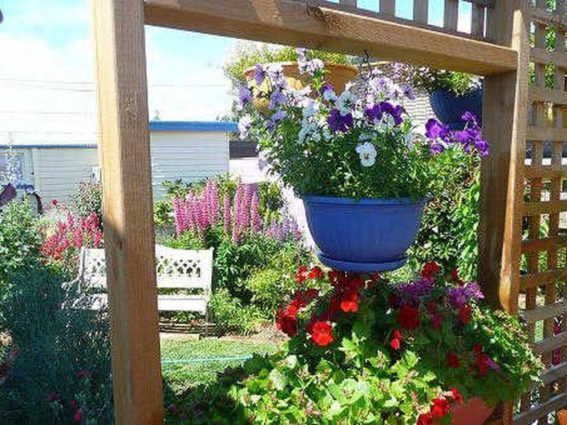 41 Tower Hill Street, Deloraine TAS 7304