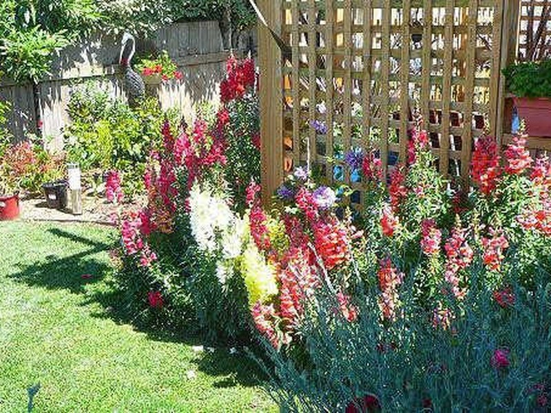 41 Tower Hill Street, Deloraine TAS 7304