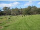 320 River Road, Deloraine TAS 7304