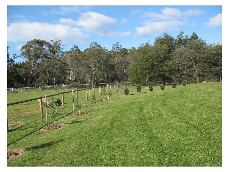 320 River Road, Deloraine TAS 7304