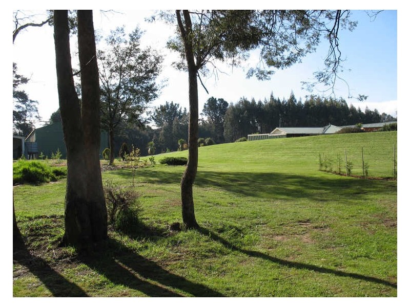 320 River Road, Deloraine TAS 7304