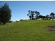 320 River Road, Deloraine TAS 7304