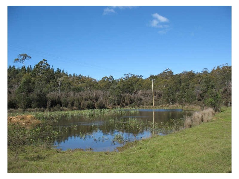 320 River Road, Deloraine TAS 7304