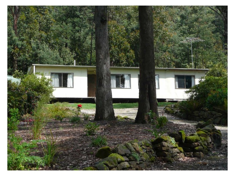 830 Western Creek Road, Western Creek TAS 7304