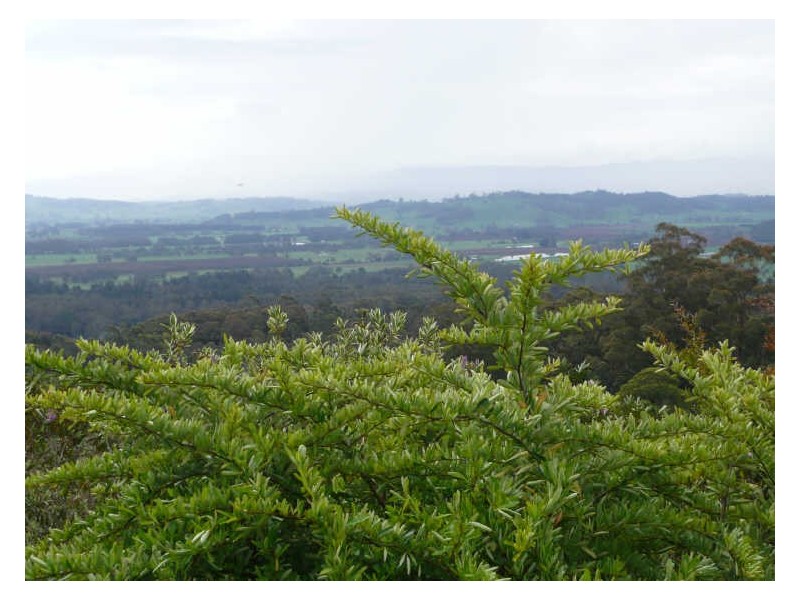 830 Western Creek Road, Western Creek TAS 7304