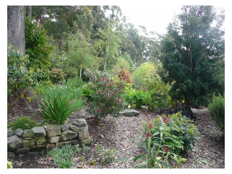 830 Western Creek Road, Western Creek TAS 7304