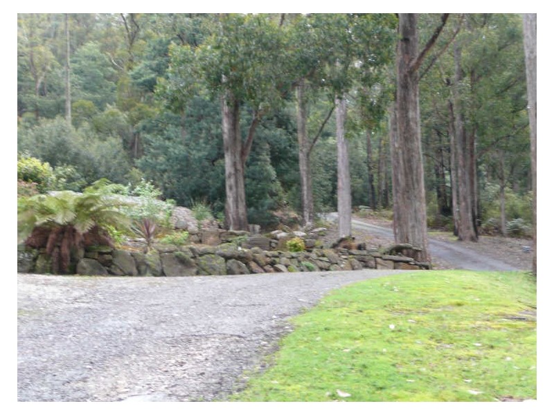 830 Western Creek Road, Western Creek TAS 7304