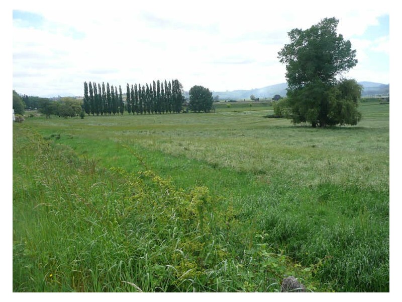 Meander Valley Road, Deloraine TAS 7304