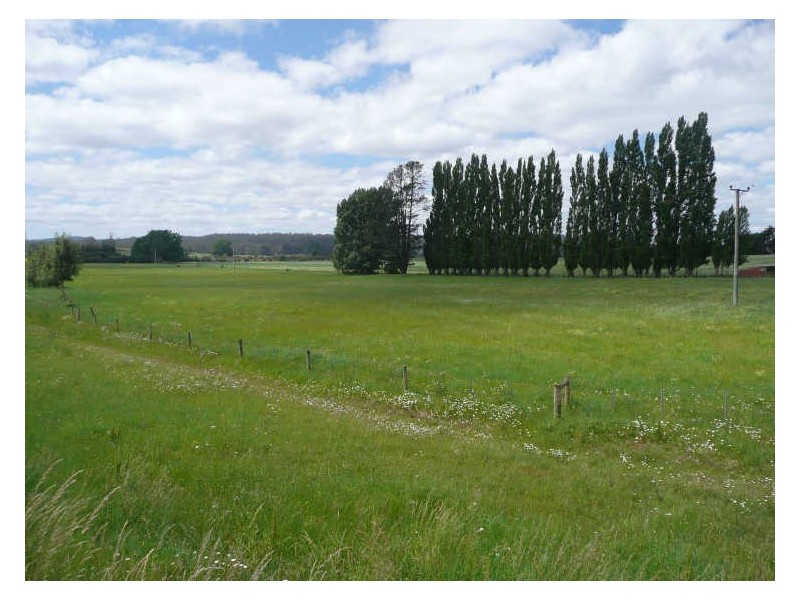 Meander Valley Road, Deloraine TAS 7304