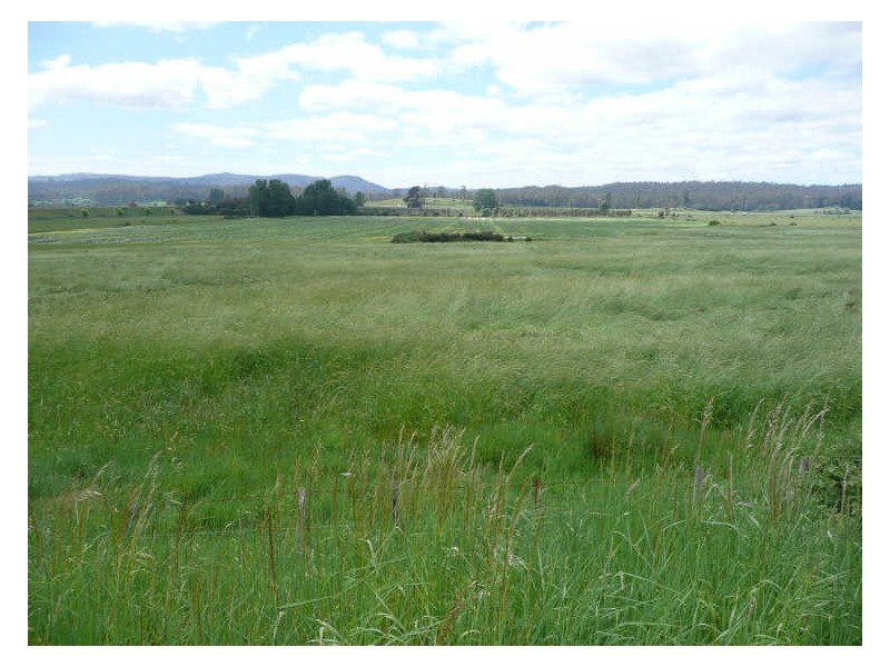 Meander Valley Road, Deloraine TAS 7304