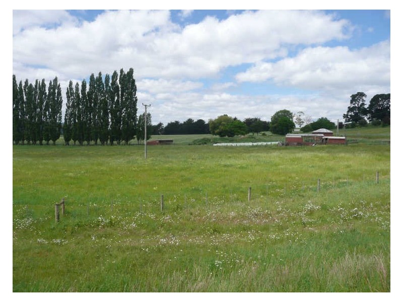 Meander Valley Road, Deloraine TAS 7304