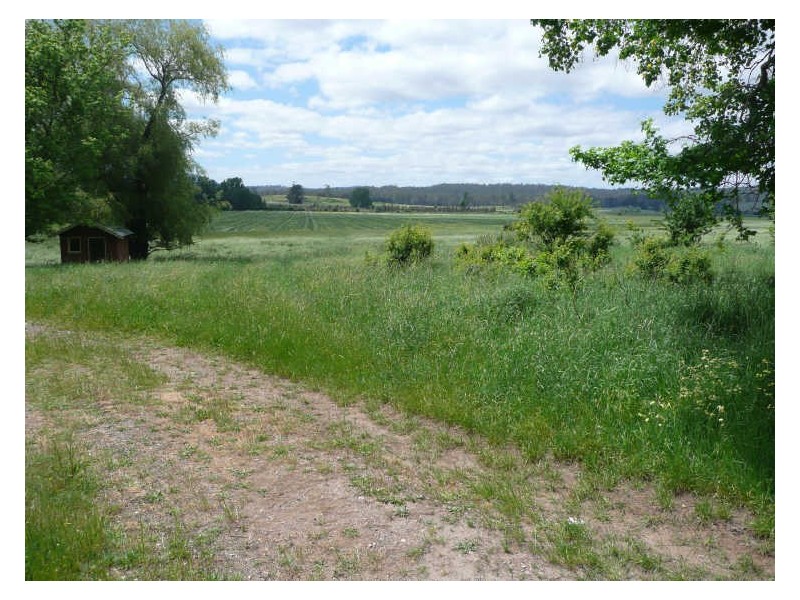 Meander Valley Road, Deloraine TAS 7304