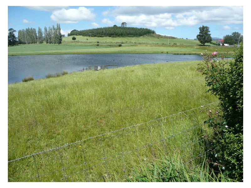 41-43 Grigg Street, Deloraine TAS 7304