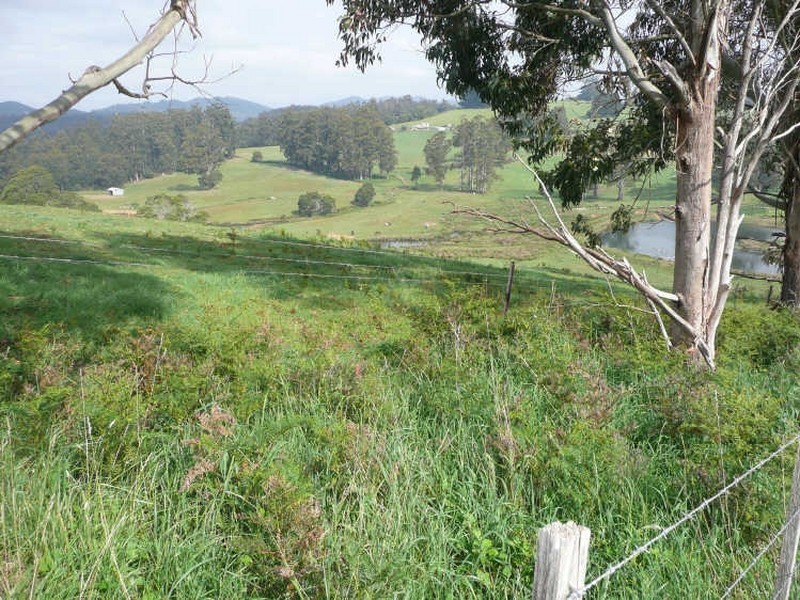 Allisons Road, Lower Barrington TAS 7306