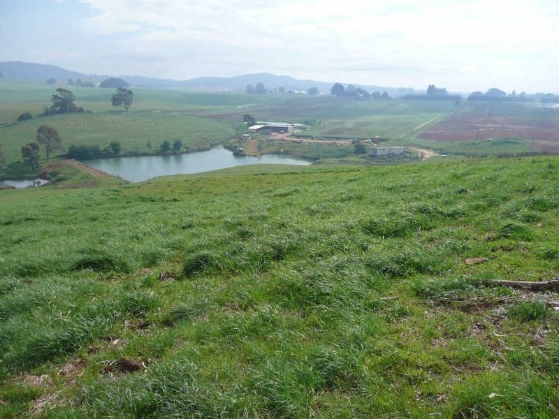 Allisons Road, Lower Barrington TAS 7306