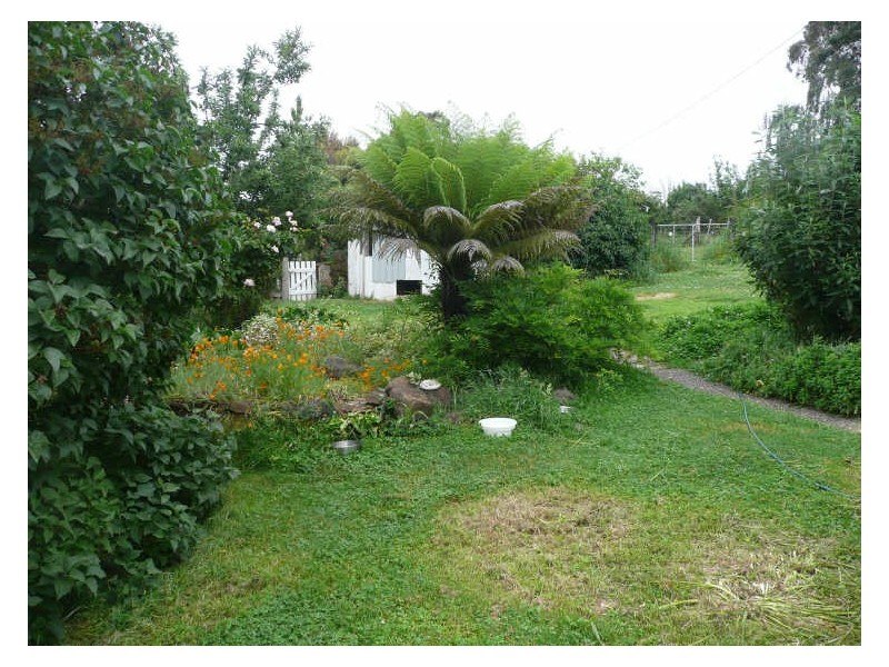 297 Dunorlan Road, Dunorlan TAS 7304